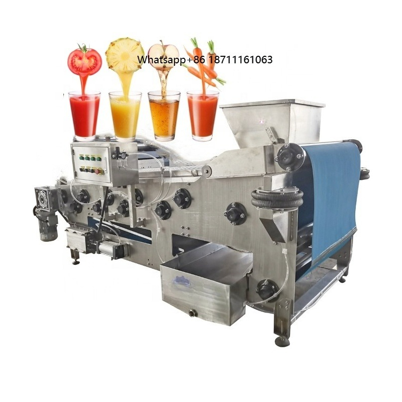 Cold Press Juicer - Endüstriyel Meyve Soğuk Pres Sıkacağı Bantlı