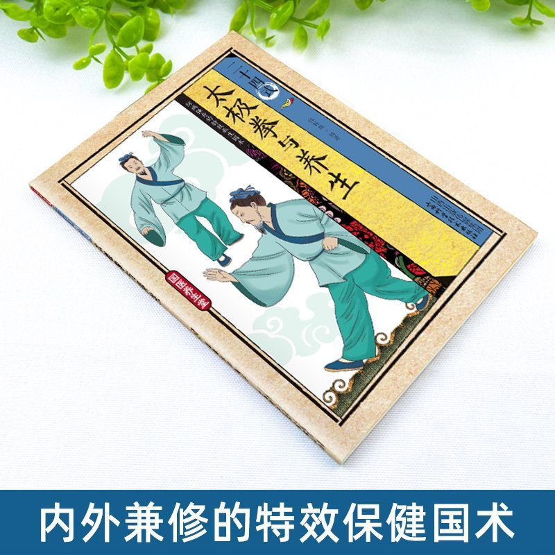 24 Stil Tai Chi ve Sağlık Egze - Health & Wellness Naics Code incelemesi ve fiyatı