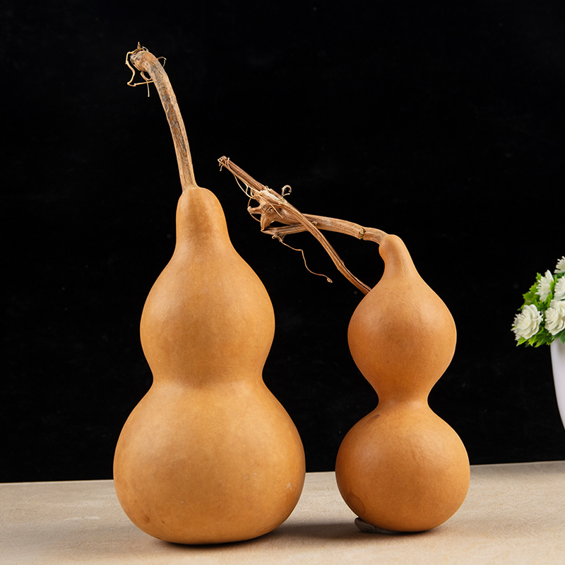 1 adet Doğal Kabak El Sanatlar - Longevity Health & Wellness Hotel Adults Only incelemesi ve fiyatı