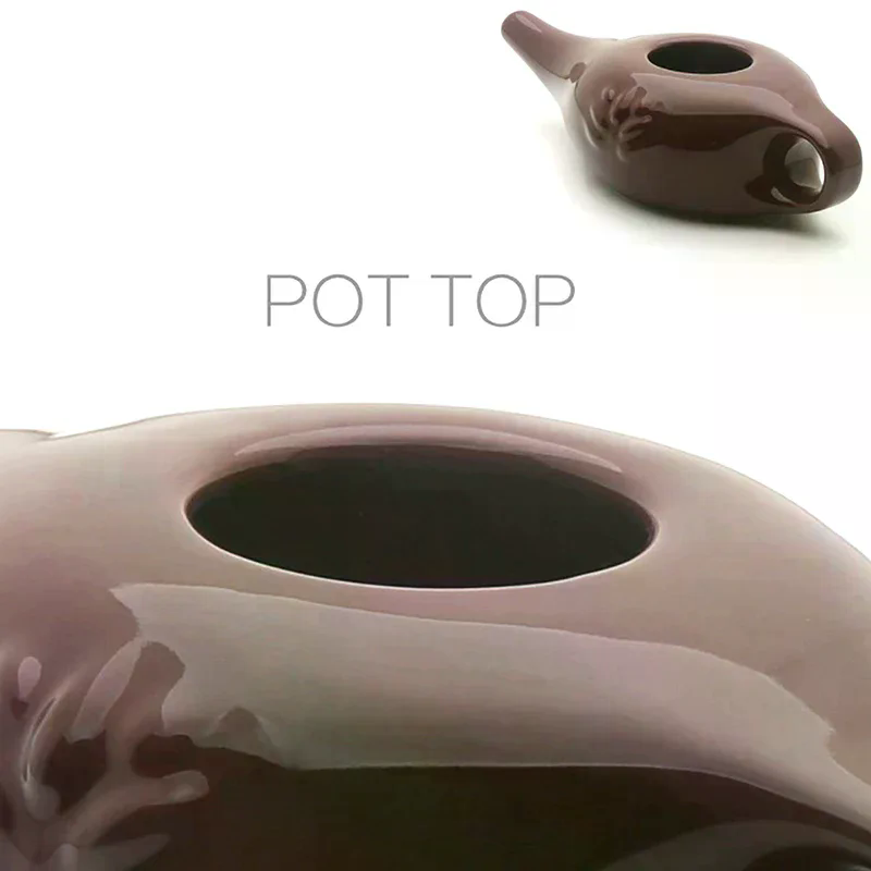 Sinüs Riniti Alerjisi Burun Yo - Neti Pot Nasal Rinse incelemesi ve fiyatı